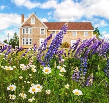 Salty Rose'S And The Periwinkle Cafe Hotell Ingonish Eksteriør bilde